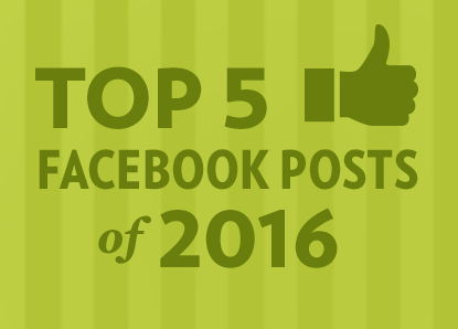 Top 5 Facebook posts of 2016